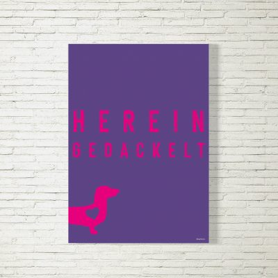Poster/Bild Hereingedackelt Dackelliebe lila/pink
