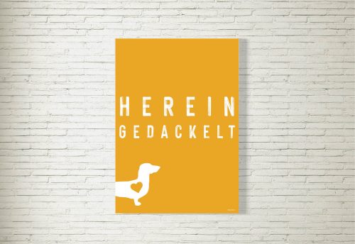 Poster/Bild Hereingedackelt Dackelliebe senf