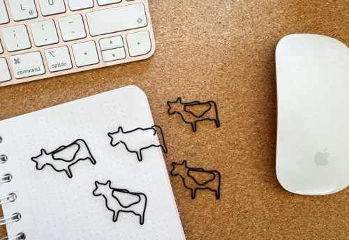 Büroklammer Kuh schwarz 5er Set 2,90 €