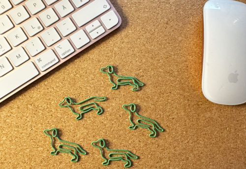 Büroklammer Dackel grün 5er Set 2,90 €
